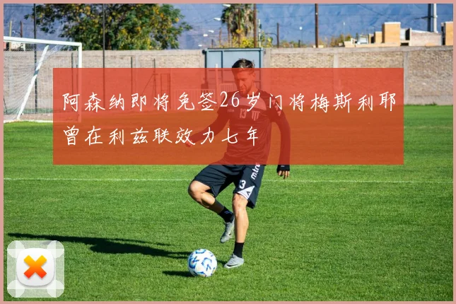 阿森纳即将免签26岁门将梅斯利耶曾在利兹联效力七年