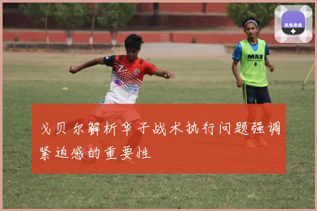 戈贝尔解析华子战术执行问题强调紧迫感的重要性